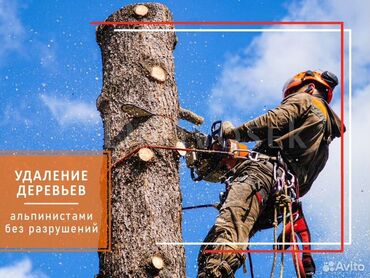 работа на охрану: Пилю деревья Бак кыябыз Спилить орех Срубить карагач Спилить тополь