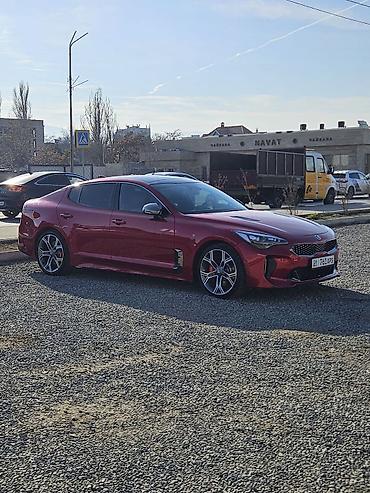 Kia: Kia Stinger: 2019 г., 2 л, Автомат, Бензин, Хэтчбэк — 7