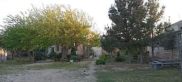 yaşma bağları torpaq: 5 otaqlı, 110 kv. m, Orta təmir — 8