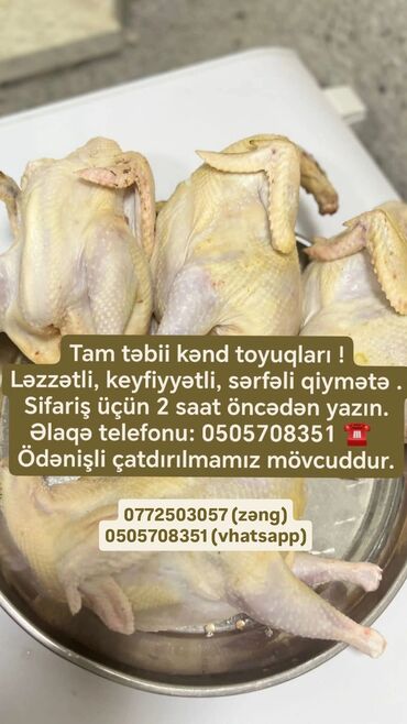 Turşular: Təbii kənd toyuqları təklif olunur. Bu toyuqlar ləzzətli və