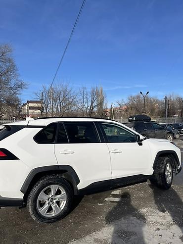 Toyota: Toyota RAV4: 2019 г., Кроссовер — 5