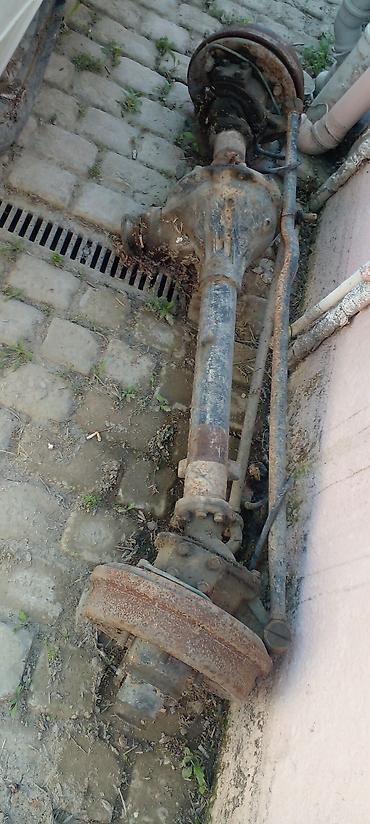 keci qiymeti: Tək Tək də satılır.Razılaşma yolu ilə.Bakıdadı.Öz maşınımındı — 5