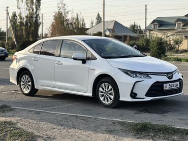 дом на колесах цены: Toyota Corolla: 2021 г., 1.8 л, Вариатор, Гибрид, Седан