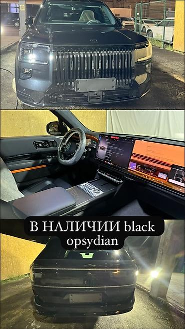 byd e9 1: Zeekr 9X: 2 л | 2026 г. Внедорожник — 6