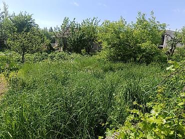 Продажа участков: 17 соток, Для сельского хозяйства, Красная книга — 3