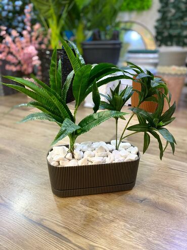 Ağaclar: Depodan bir basa satis 70azn baslayan dekarativ suni agaclar topdan — 17