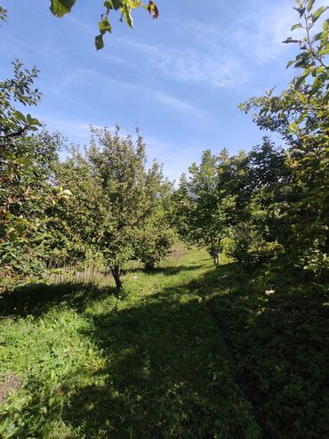 Bağ evlərinin satışı: İsmayıllı, 80 kv. m, 2 otaqlı, Hovuzsuz, Telefon, İnternet, İşıq -da lalafo.az — 2 Bağ evlərinin satışı: İsmayıllı, 80 kv. m, 2 otaqlı, Hovuzsuz, Telefon, İnternet, İşıq — 2