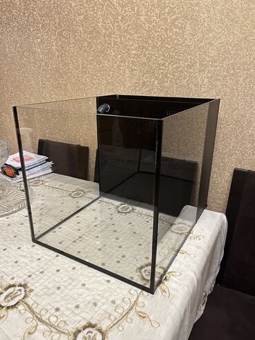 продажа аквариумных рыбок: Прямоугольный аквариум, Пустой, 80 л