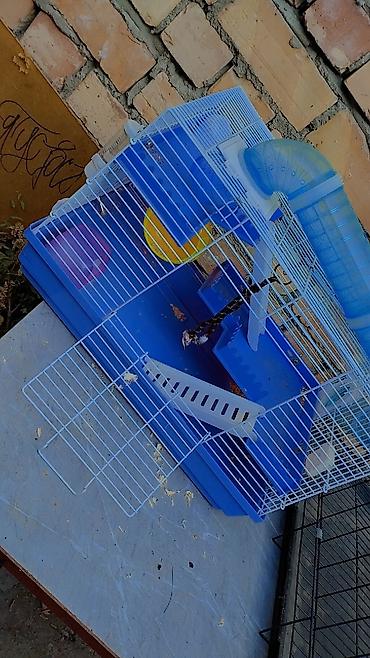 Үй жаныбарлары: Клетка для хомяка/декоративного грызуна с полным набором аксессуаров — 3