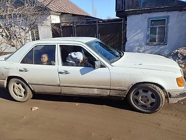 Mercedes-Benz: Mercedes-Benz W124: 1988 г., 3 л, Механика, Дизель, Седан — 6