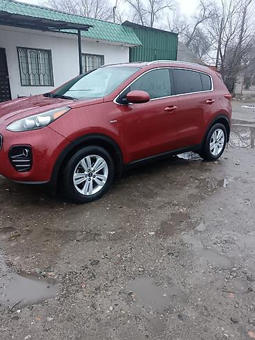 серый gac aion s: Kia Sportage: 2017 г., 2.4 л, Автомат, Бензин, Кроссовер — 1