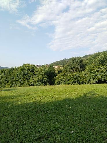 Torpaq sahələrinin satışı: 92 sot, Biznes üçün, Mülkiyyətçi, Kupça (Çıxarış), Bələdiyyə, Müqavilə — 5