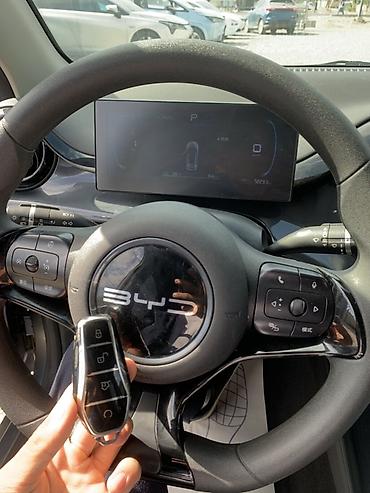 электромобили мини: BYD E2: 2023 г., Автомат, Электромобиль, Хэтчбэк — 8