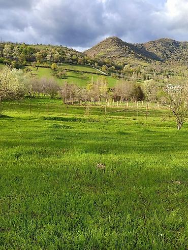 5 sot, Tikinti, Mülkiyyətçi lalafo.az -da 5 sot, Tikinti, Mülkiyyətçi