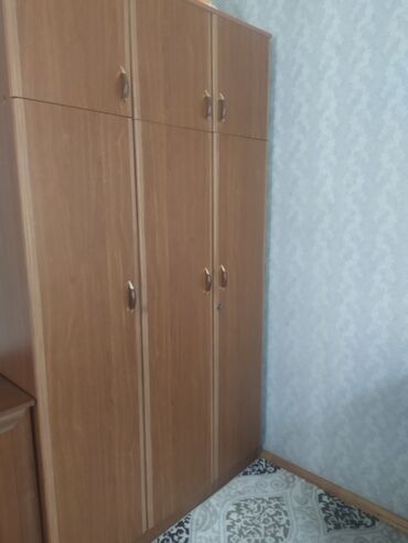 3 qapili dolab: İşlənmiş, Açılan, 3 qapılı Düz dolab, Dolab-asılqan