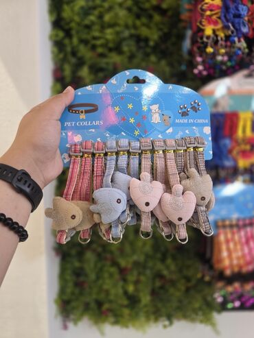 Xaltalar, qayışlar və tasmalar: Pişik və mini itlər üçün boyunbağılar. Taksilə çatdırılma xidmətimiz — 13