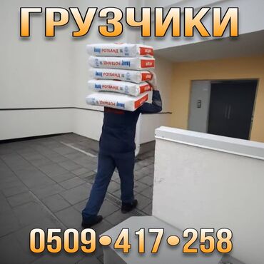 вакансия официант бишкек: Жүк ташуучу. 6 жылдан ашык тажрыйба