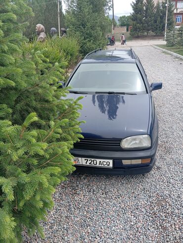 авди 80: Volkswagen Golf: 1993 г., 1.8 л, Механика, Бензин, Универсал