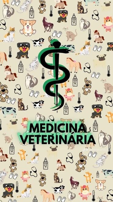 бурманская американская кошка: Ветеринарные услуги “Medicina Veterinária” - Профилактика и лечение