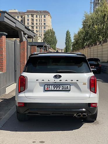 палисат: Hyundai Palisade: 2019 г., 3.8 л, Автомат, Бензин, Кроссовер — 10