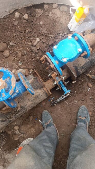 форель ош мады: Монтаж и замена сантехники Больше 6 лет опыта