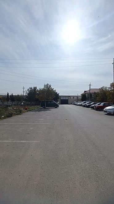 məhəmmədli kirayə: Soyuduculu anbar sahəsi və logistik meydança - Geniş, tam — 3