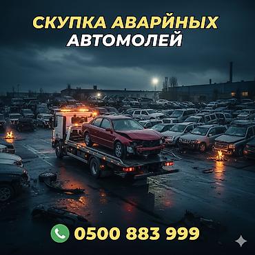 каракол мото: Скупкага скупка скупка авто аварийный состояние скупка скупка авто — 2