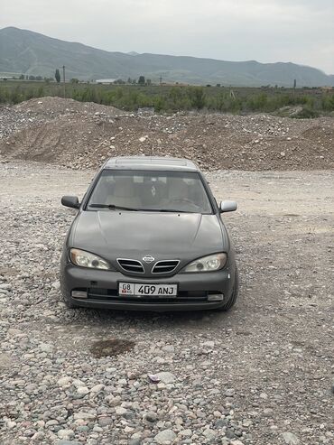 ниссан пример: Nissan Primera: 2000 г., 1.8 л, Механика, Бензин, Седан