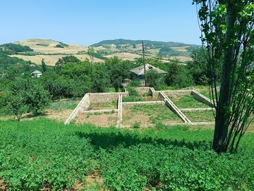 Torpaq sahələrinin satışı: 11 sot, Kənd təsərrüfatı, Barter mümkündür, Kupça (Çıxarış), Bələdiyyə