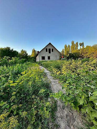 мансард: 18 соток, Красная книга — 5