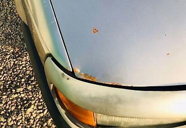 Volkswagen: Volkswagen Passat: 1989 г., 1.8 л, Механика, Бензин, Универсал — 8