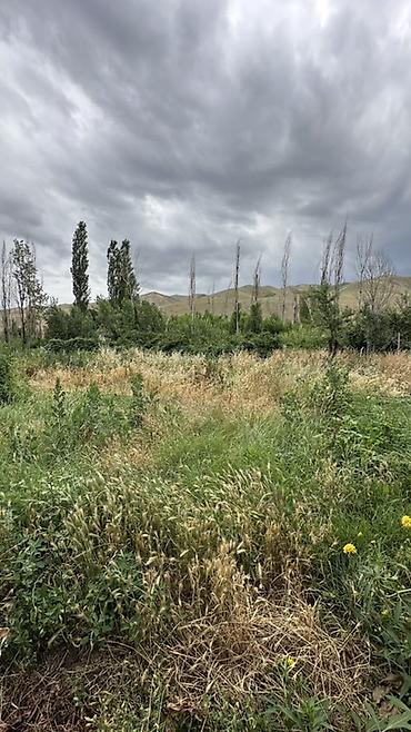 село тон: 📍 В Сокулукском районе в селе Конуш продаётся дом на участке 15 соток — 5