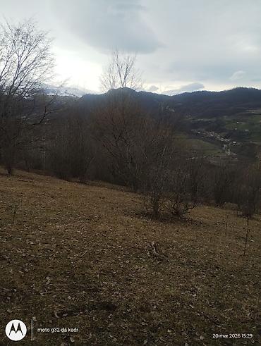 Torpaq sahələrinin satışı: 130 sot, Kənd təsərrüfatı, Kupça (Çıxarış) — 13