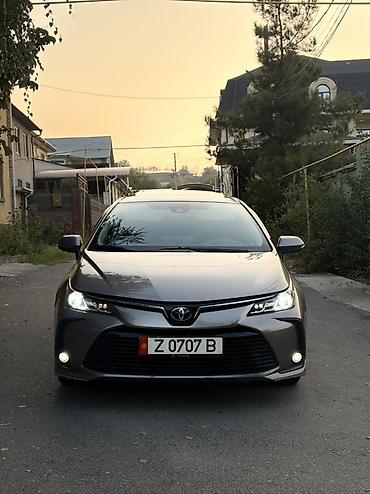 prado 78: Toyota Corolla: 2020 г., Гибрид, Седан — 1