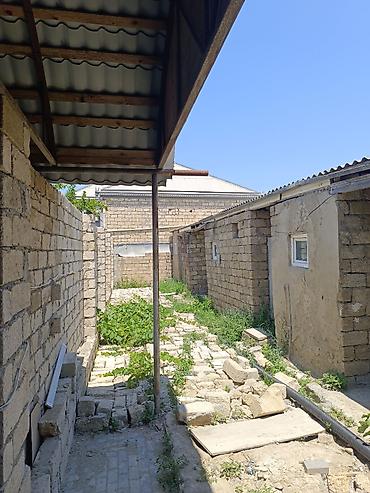 ot bicen kiraye: 2 sot Su, İşıq, Kanalizasiya — 3