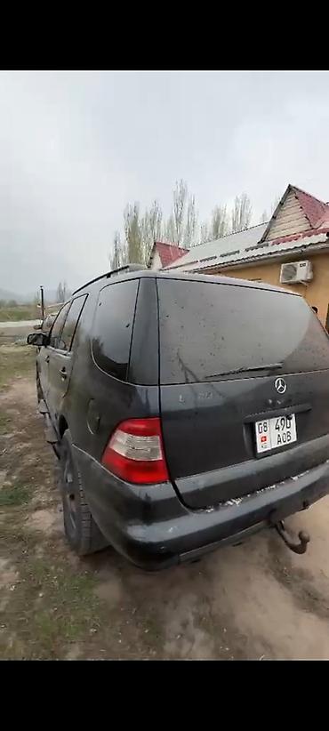 w163: Mercedes-Benz ML-Class: 2003 г., 3.2 л, Автомат, Бензин, Кроссовер — 4