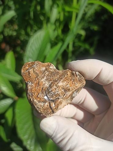 cib saatı: Milyon İllik Tarixi Fosil 💎 Daşlaşmış Ağac ( Petrified Wood ) 🪵 ✨ Bu — 7