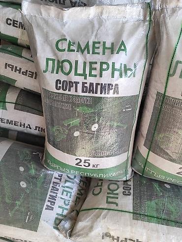 Люцерна: Беде Урук,семена люцерны люцерна высший сортсемена клевера для — 5