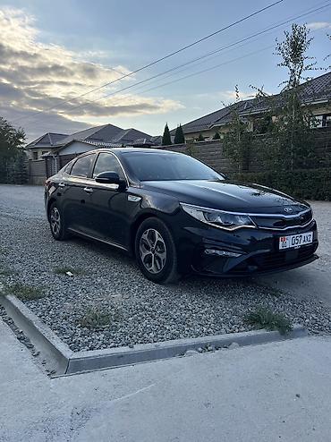 кормашки для к5: Kia K5: 2019 г., 2 л, Автомат, Гибрид, Седан — 2