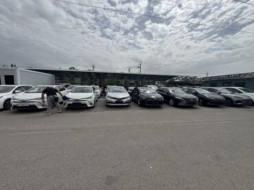 Toyota: 🚗 *продажа авто — в наличии* 🇨🇳 *сборка: китай* ✅ *есть и другие