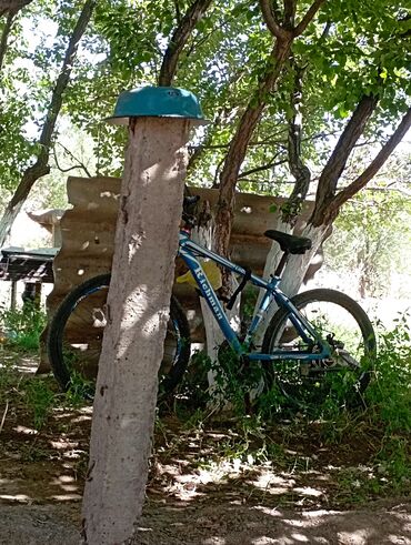 skillmax велосипед отзывы: Балдар үчүн велосипед, Теңдөөч велосипед, 9 - 13 жаш, Бала үчүн, Колдонулган