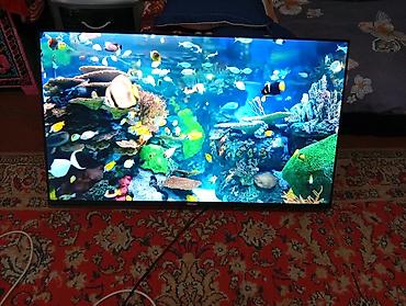 led свет: Телевизор Hisense, диагональ примерно 50–55". Тонкие рамки, плоская — 1