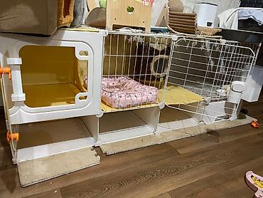 кролик бишкек: Домик для животных,(кролик; кошек и т.д ) Есть все необходимые вещи — 9