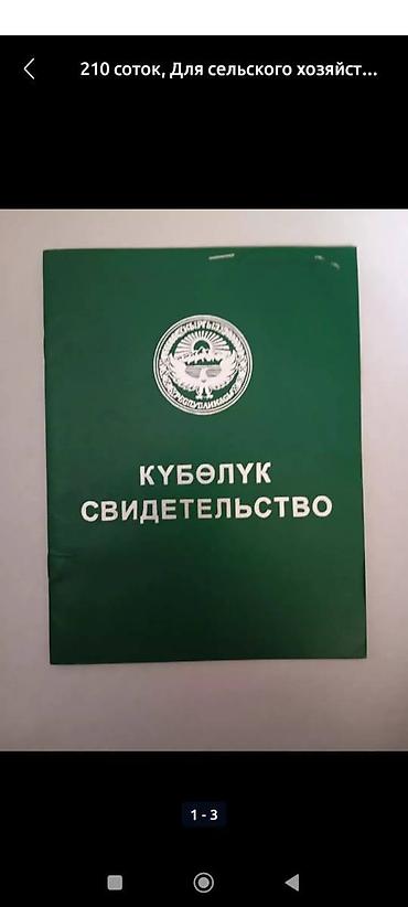 Продажа участков: 50 соток, Для сельского хозяйства, Договор купли-продажи — 3