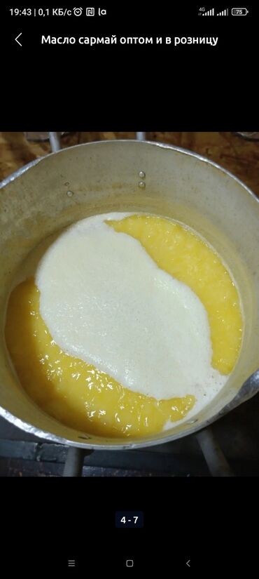 перепела яйца: Продаю сарымай оптом и в розницу чистый вкусный. литр