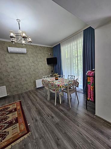 Bağ evlərinin kirayəsi: 70 kv. m, 2 otaqlı, Hovuzlu — 12