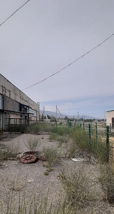 сдаю квартира 1: Продаю, сдаю в аренду. Комбинат. Территория 100 соток. Цеха, склады — 3