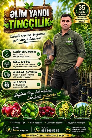 qida məhsullarının topdan satışı: ƏLİM YANDI TİNGÇİLİK – Təbəti evinizə, bağınıza gətirməyə hazır! — 1