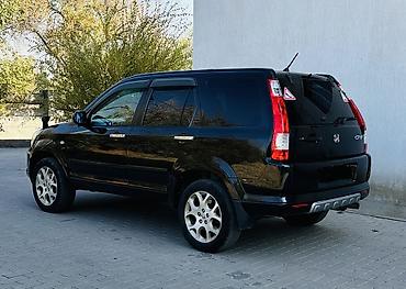 lexus ns: Honda CR-V: 2006 г., 2.4 л, Автомат, Бензин, Внедорожник — 5