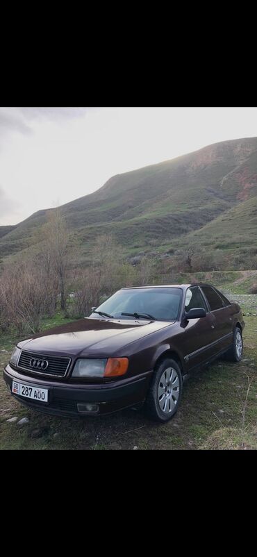 ауди 80 1992: Audi 100: 1992 г., 2.6 л, Механика, Газ, Седан